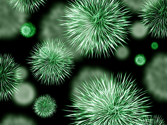 zelené bakterie.jpg