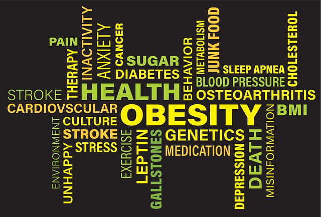 obezita a zdraví