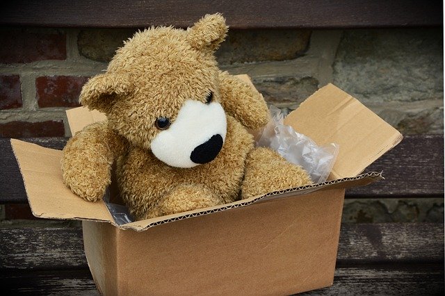 plyšový medvěd v krabici